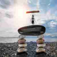 渗‌透‌测‍试﻿是​干‌什​么‍